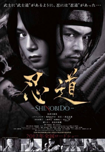 Shinobido, Way of The Ninja (Shinobidô)
