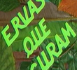 Ervas que Curam
