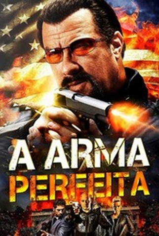 Poster 2 de Filme A Arma Perfeita (2016)