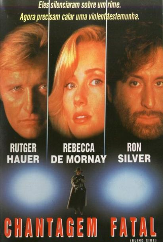 Poster 3 de Filme Chantagem Fatal (1993)