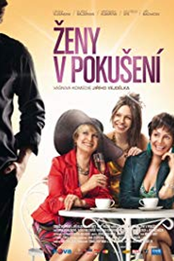 Poster de Filme Zeny v pokusení (2010)