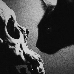 Foto de perfil de F.