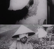 Beautiful Japan