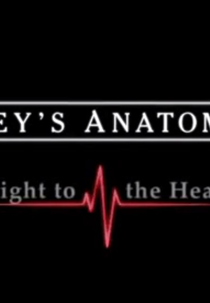 Grey's Anatomy: Straight to the Heart (Grey's Anatomy: Straight to the Heart)