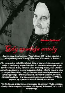 Quando Caem os Anjos (Gdy spadaja anioly)