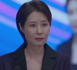 11회