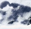 The Yeti