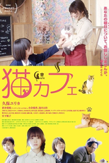 Neko Cafe (猫カフェ)