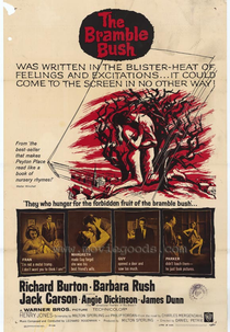 Espinhos na Carne (The Bramble Bush)