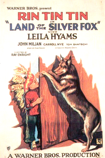 Poster de Filme O Heroísmo de Rin Tin Tin (1928)