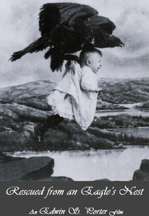 Rescued from an Eagle's Nest (Rescued from an Eagle's Nest)
