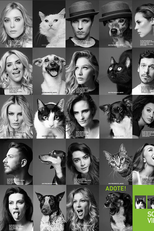 Somos Todos Vira-Latas (Somos Todos Vira-Latas)