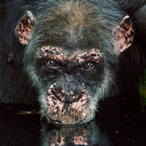 Foto de perfil de Diego