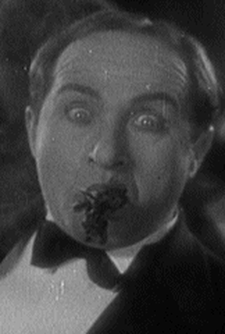 Poster 1 de Curta Pals and Pugs (1920)