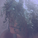 vinew