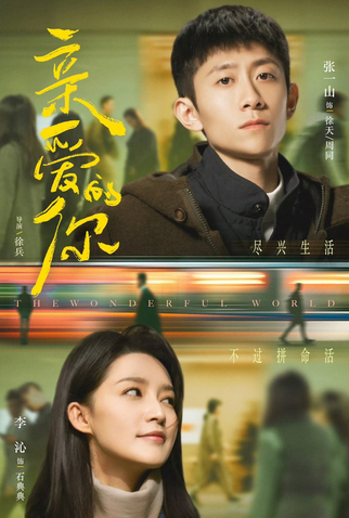 Poster 1 de Série The Wonderful World (2025)
