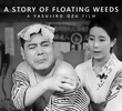 Uma História de Ervas Flutuantes