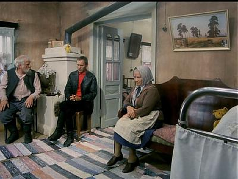 Foto 5 de The Red Snowball Tree 