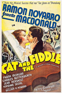 O Gato e o Violino - Poster / Capa / Cartaz - Oficial 2