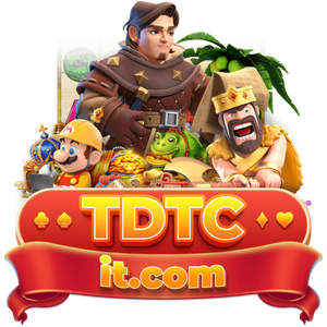 Foto de perfil de tdtc it com