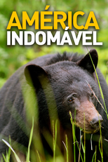 América Indomável (Untamed Americas)