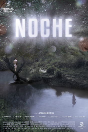 Poster de Filme Noite (2013)