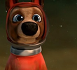 Laika and Rover