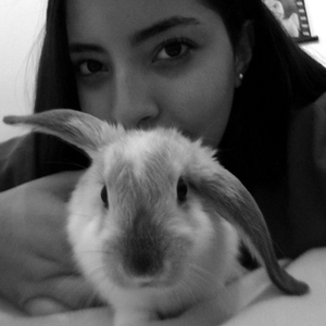 Foto de perfil de Carolina