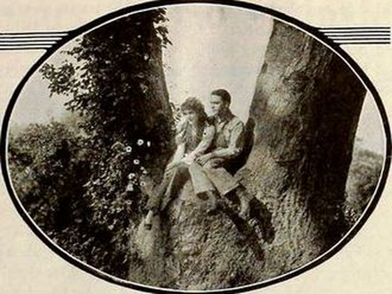 Foto 1 de Captain Kidd, Jr.