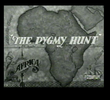 The Pygmy Hunt