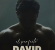 O Perfeito David