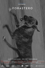 Forastero (Forastero)