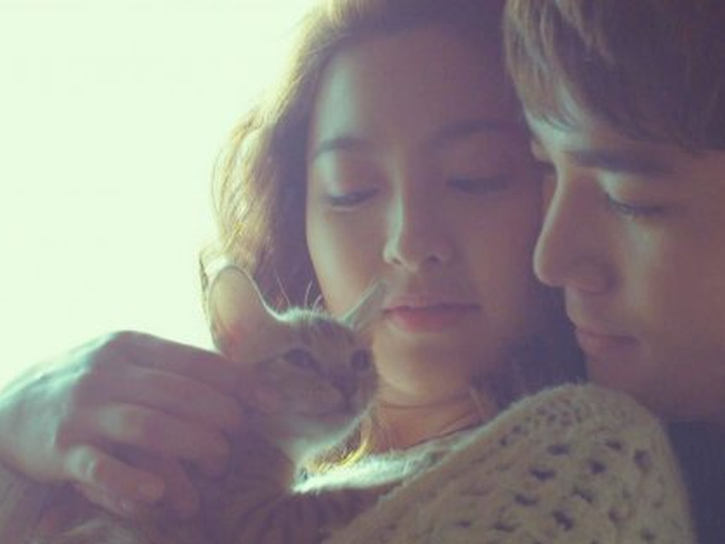 Foto 6 de The Cat Funeral