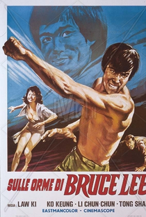 Kung Fu Stars - Poster / Capa / Cartaz - Oficial 1
