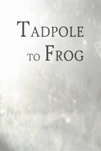 Tadpole to Frog - Poster / Capa / Cartaz - Oficial 1