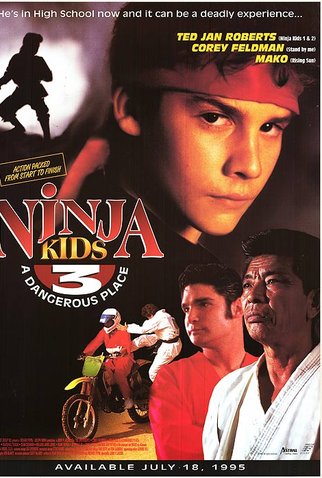 Poster 2 de Filme Punhos Assassinos (1995)