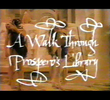 A Walk Through Prospero's Library