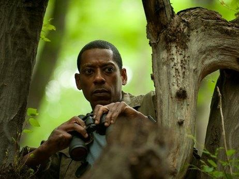 Foto 5 de Aliança Mortal