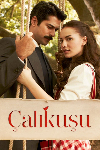 Poster de Franquia Çalıkuşu (2013)
