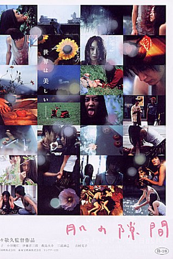 Poster de Filme A Gap in the Skin (2005)