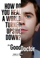 The Good Doctor: O Bom Doutor (4ª Temporada) (The Good Doctor (Season 4))