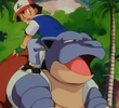 カメックスのしま