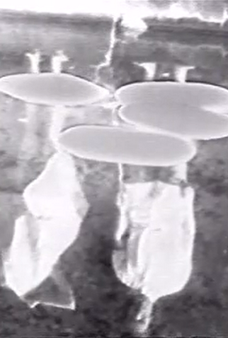 Poster 1 de Curta Disturbances (1974)