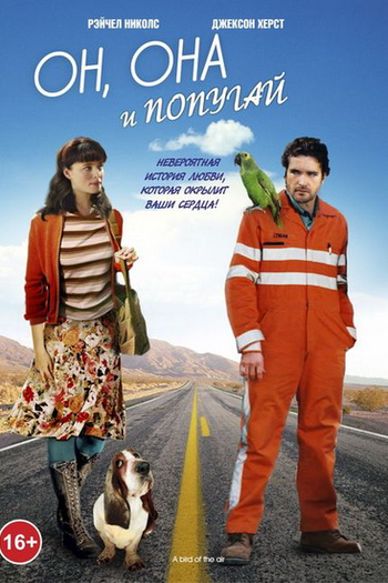  de Filme Papagaio no Ar (2011)