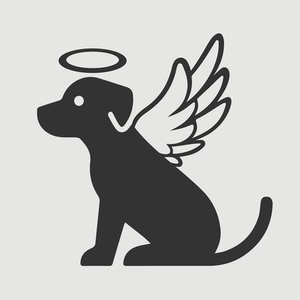 Foto de perfil de Stefany