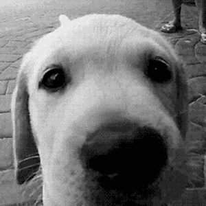 Foto de perfil de v