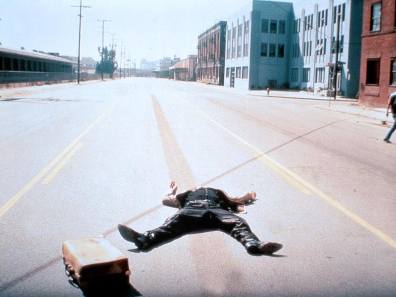 Foto 10 de Coração Selvagem