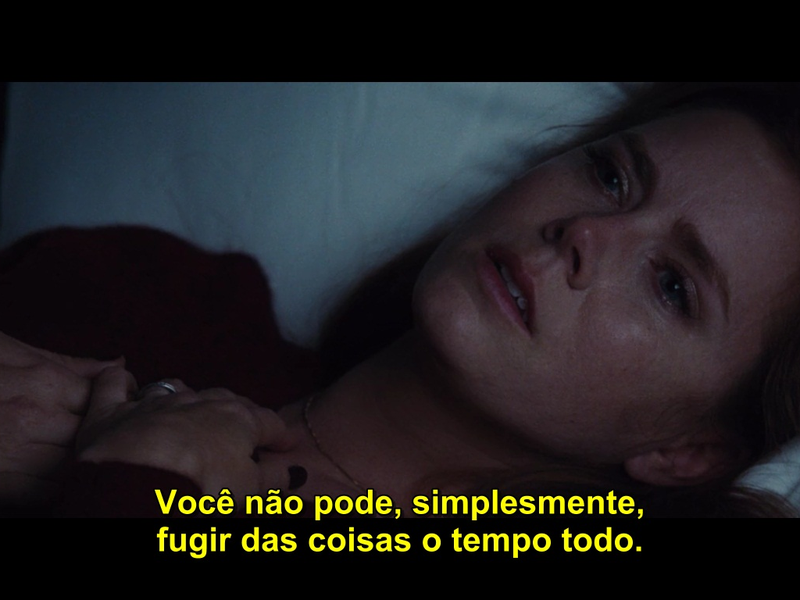 Foto 1 de Animais Noturnos