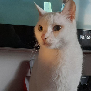Foto de perfil de Julia