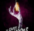 The Source of Shadows